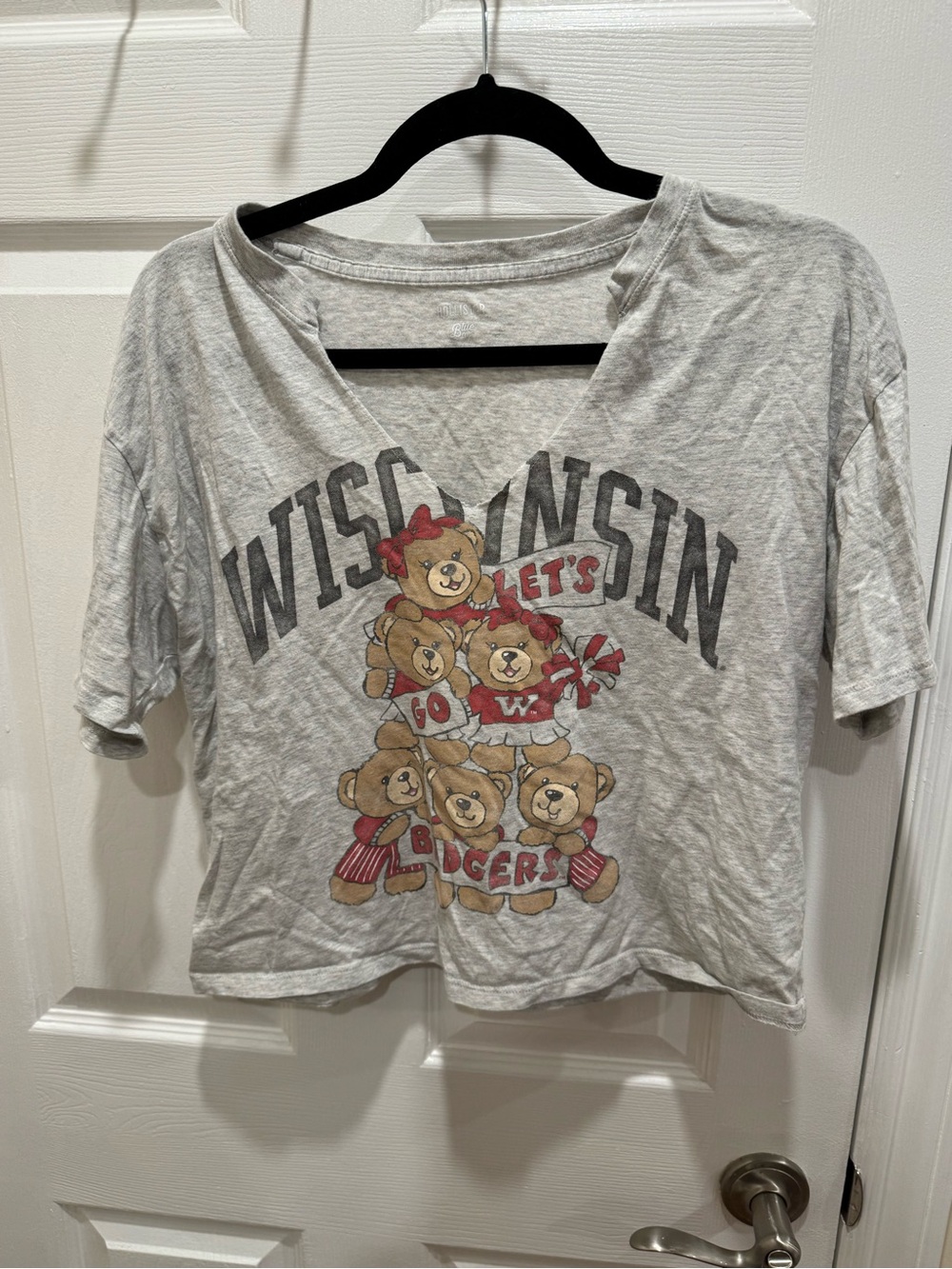 Hollister Wisconsin Bear Graphic Women's Gray V-Neck Top